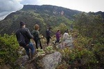 Cloud Forest and Waterfall Hike