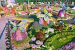 Miracle Garden