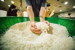 Makgeolli Brewing Class