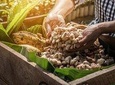 Maleku Chocolate Tour