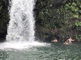 Private Tours : OAHU, KAUAI or BIG ISLAND : Pick any Island 