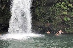 Private Tours : OAHU, KAUAI or BIG ISLAND : Pick any Island 