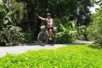EXPERIENCE MEKONG BY BIKE & BOAT 03 DAYS ACTIVITIES FROM SAIGON