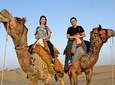 camel safari