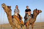 camel safari