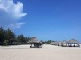 Ho Coc Beach - Nature Reserve and Dragon-fruit Farm trip with home-cooked lunch