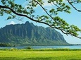 Green and Blue Oahu Private Tour