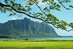 Green and Blue Oahu Private Tour