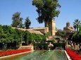 Mosque, Alcazar and Juderia Ticket Included Skip the Line