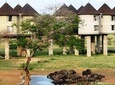 3 DAYS 2 NIGHTS TO SAROVA SALTLICK AND TAITA HILLS