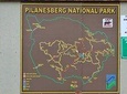 Private tour to the Pilanesberg National Park from Johannesburg / Sandton