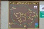 Private tour to the Pilanesberg National Park from Johannesburg / Sandton