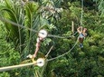 Mindo cloud-forest Private day tour