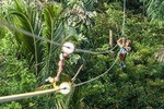 Mindo cloud-forest Private day tour