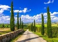 Full day private tour to Chianti wine region from Florence