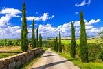 Full day private tour to Chianti wine region from Florence
