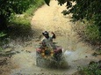 Quads ATV Off Road Adventure 