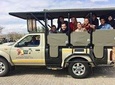 Budget 3 Days 2 Nights Kruger Safari + 3 Star lodge from Johannesburg 