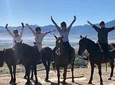 1 Hour Horse Trail