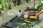 Choose Your Body Massage treatment in Bali Island 