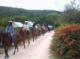Horseback Ride Adventure from Ocho Rios