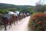 Horseback Ride Adventure from Ocho Rios