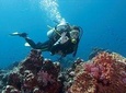 Scuba Diving Experience from Side