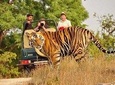 5-Day Private Delhi, Agra and Jaipur with Ranthambhore Tiger Tour From Delhi 