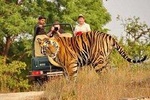 5-Day Private Delhi, Agra and Jaipur with Ranthambhore Tiger Tour From Delhi 