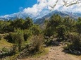 Holistic Sacred Trek Salkantay to Machu Picchu 5 Day