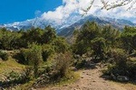 Holistic Sacred Trek Salkantay to Machu Picchu 5 Day