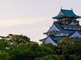 Osaka Custom Half Day Tour