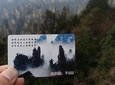 Zhangjiajie National Forest Park(Avatar) &Drop off at Fenghuang Private Day Tour