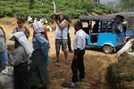 Tuk Tuk Safari in Tea plantation, View Points, Water Falls, Spice Plantations
