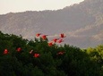 Bird Sanctuaries Tour