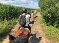 Horseback Riding Tour In Brasov - Ride Horses Through Fields, Forests And Hills