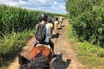 Horseback Riding Tour In Brasov - Ride Horses Through Fields, Forests And Hills