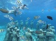 Gili Trawangan Sunset BBQ Dinner Cruise with snorkeling