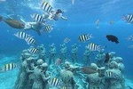 Gili Trawangan Sunset BBQ Dinner Cruise with snorkeling