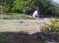 Discover Barbados with Inaja's Transport and Tours
