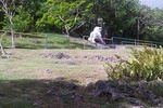 Discover Barbados with Inaja's Transport and Tours