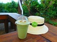 AVOCADO TOUR , Tour del Aguacate