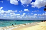 Catalina island- Snrkeling Tour Full Day