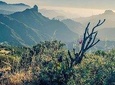 Gran Canaria Full Private Photography Experience