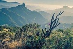 Gran Canaria Full Private Photography Experience