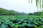 Shanghai to Hangzhou Bullet Train Ticket with Hongqiao Station Transfer