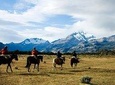 Horse Back Riding tour