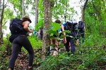 1 day private eco-trekking at Mae Sa Pok, Doi Inthanon