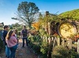 Small-Group Hobbiton and Waitomo Day Tour from Auckland