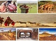 3-Day Samburu and Namunyak Conservation Game Drive and Camel Safari 